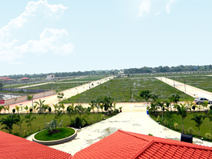 Farmville